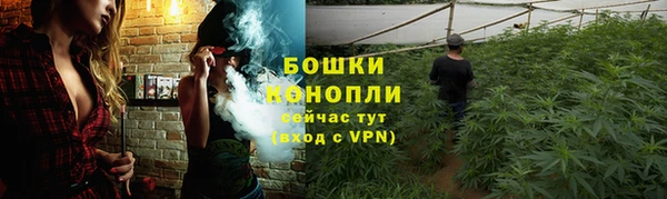 apvp Аркадак